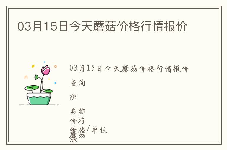 03月15日今天蘑菇價格行情報價