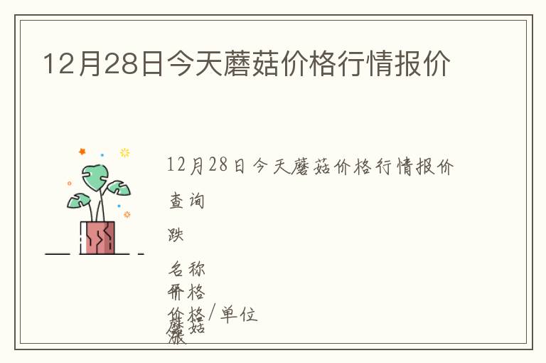 12月28日今天蘑菇價(jià)格行情報(bào)價(jià)