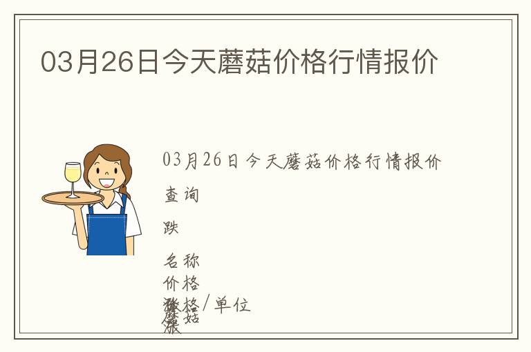 03月26日今天蘑菇價格行情報價