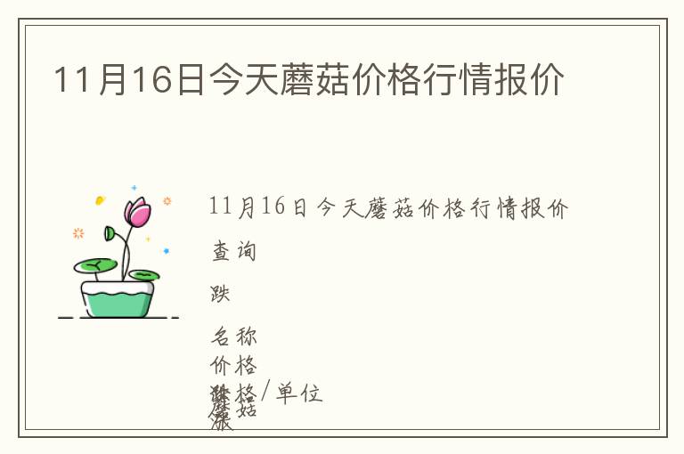 11月16日今天蘑菇價(jià)格行情報(bào)價(jià)