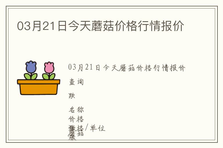 03月21日今天蘑菇價(jià)格行情報(bào)價(jià)