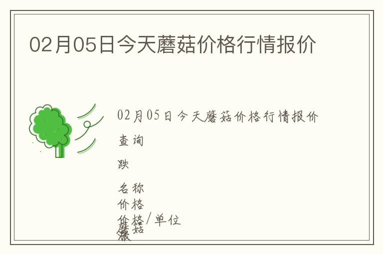 02月05日今天蘑菇價格行情報價