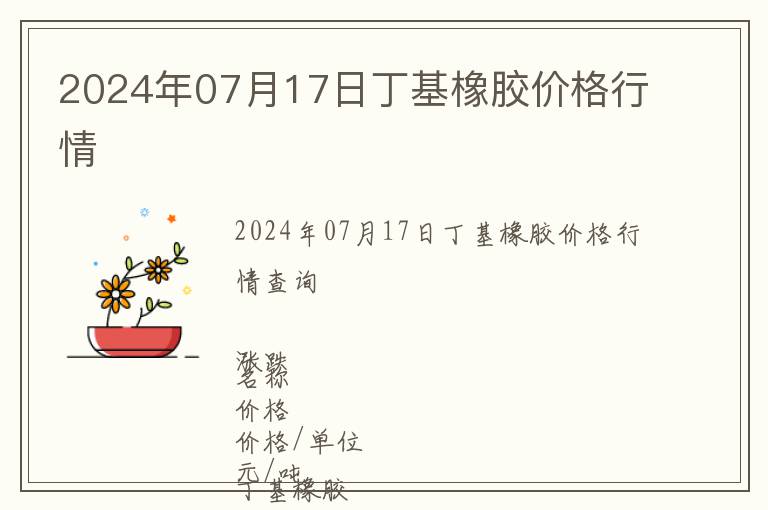 2024年07月17日丁基橡膠價格行情