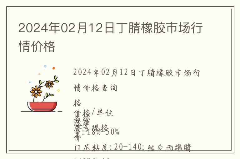 2024年02月12日丁腈橡膠市場(chǎng)行情價(jià)格