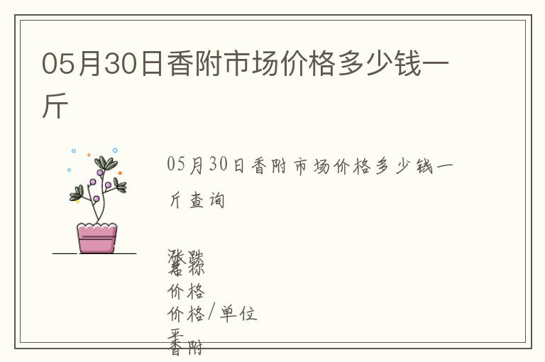 05月30日香附市場(chǎng)價(jià)格多少錢(qián)一斤