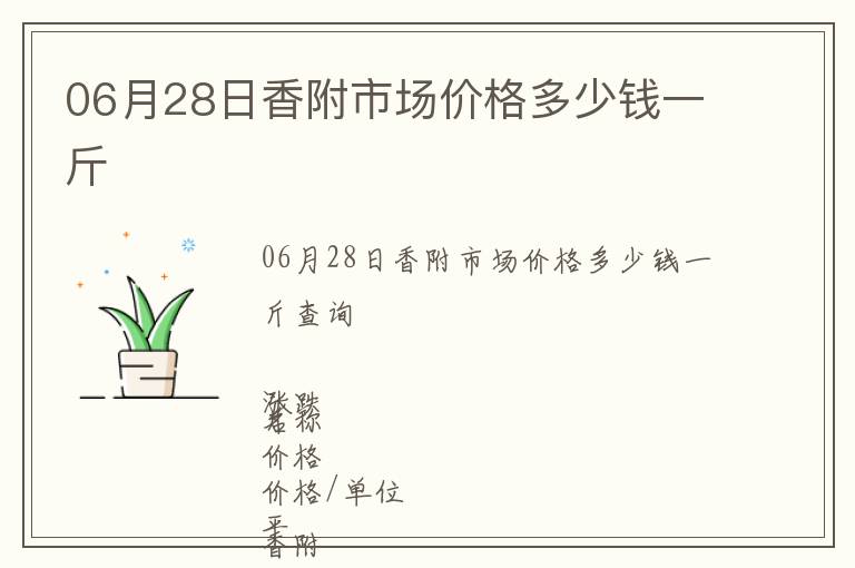06月28日香附市場價格多少錢一斤