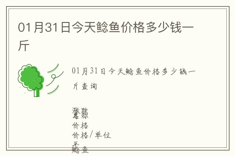 01月31日今天鯰魚價(jià)格多少錢一斤