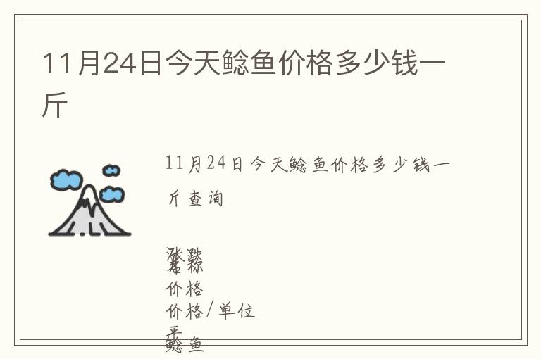 11月24日今天鯰魚(yú)價(jià)格多少錢(qián)一斤