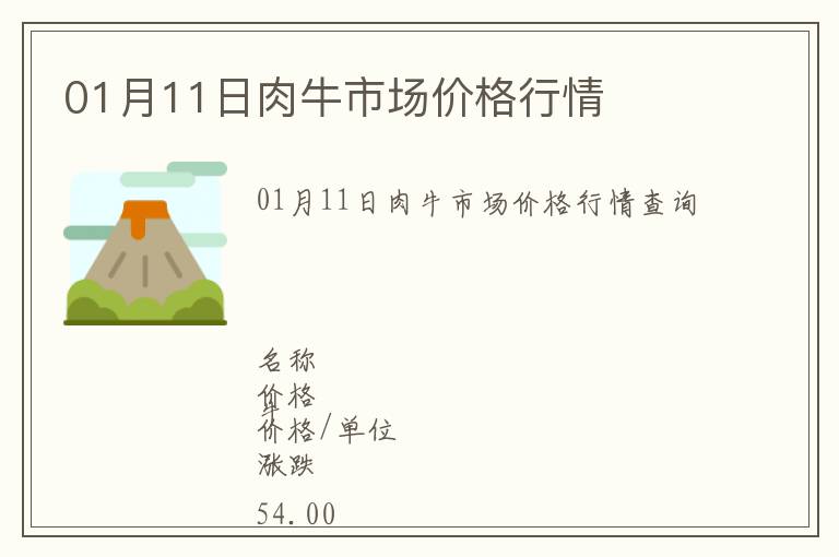 01月11日肉牛市場價(jià)格行情
