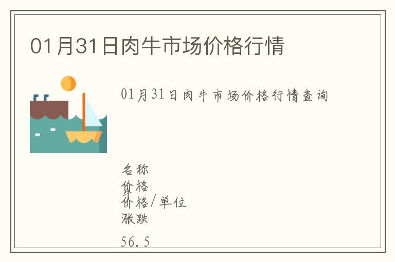 01月31日肉牛市場價(jià)格行情