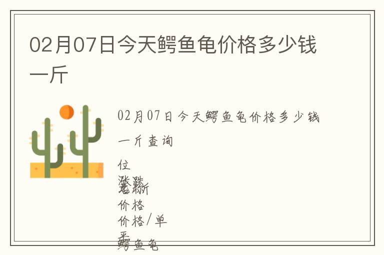 02月07日今天鱷魚龜價格多少錢一斤