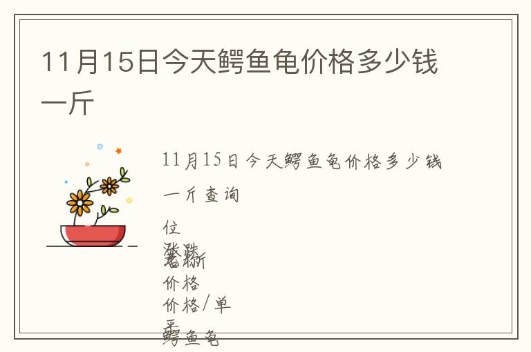 11月15日今天鱷魚龜價(jià)格多少錢一斤