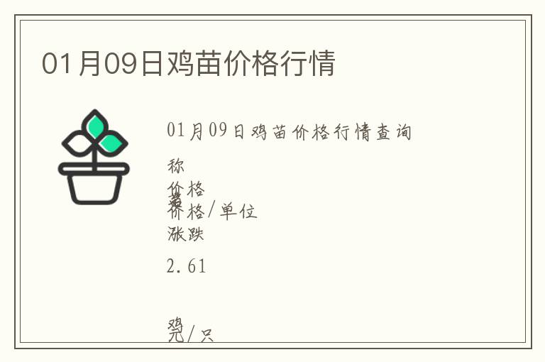 01月09日雞苗價格行情