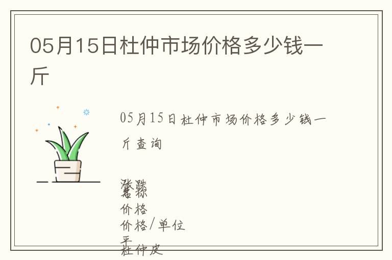 05月15日杜仲市場價格多少錢一斤