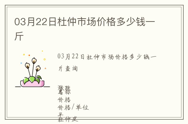 03月22日杜仲市場價格多少錢一斤