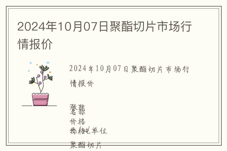 2024年10月07日聚酯切片市場(chǎng)行情報(bào)價(jià)
