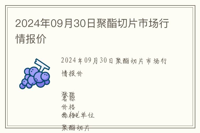 2024年09月30日聚酯切片市場行情報價