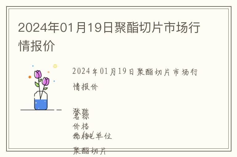 2024年01月19日聚酯切片市場(chǎng)行情報(bào)價(jià)