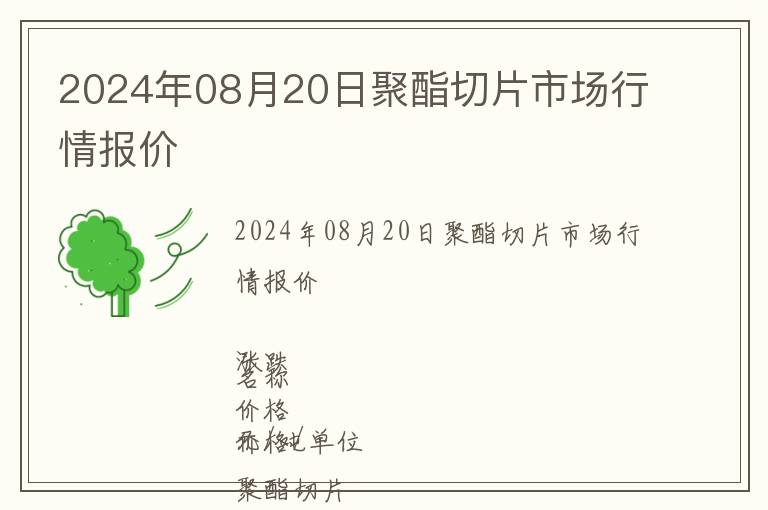 2024年08月20日聚酯切片市場行情報價