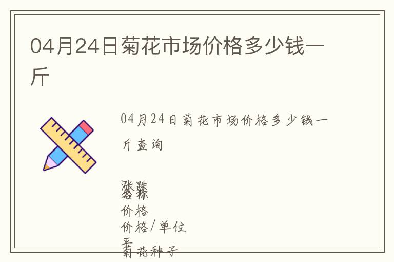 04月24日菊花市場價格多少錢一斤