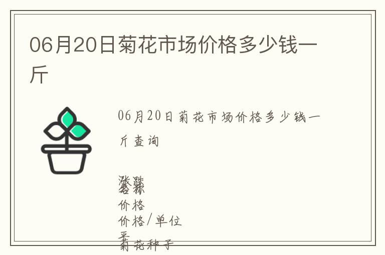 06月20日菊花市場(chǎng)價(jià)格多少錢(qián)一斤