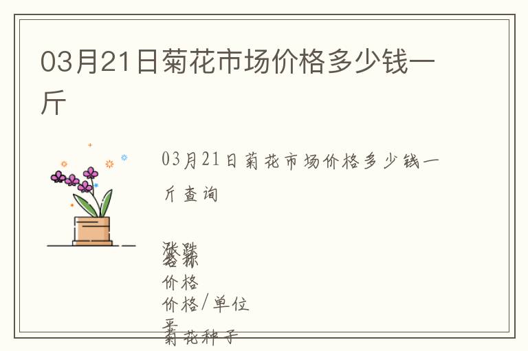 03月21日菊花市場價(jià)格多少錢一斤