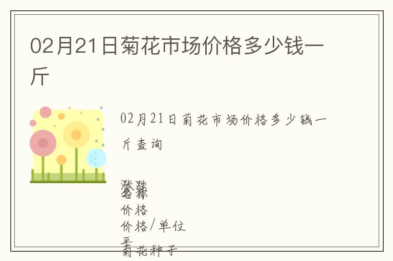 02月21日菊花市場價格多少錢一斤