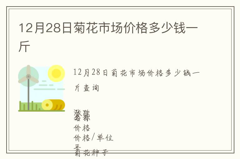 12月28日菊花市場價(jià)格多少錢一斤