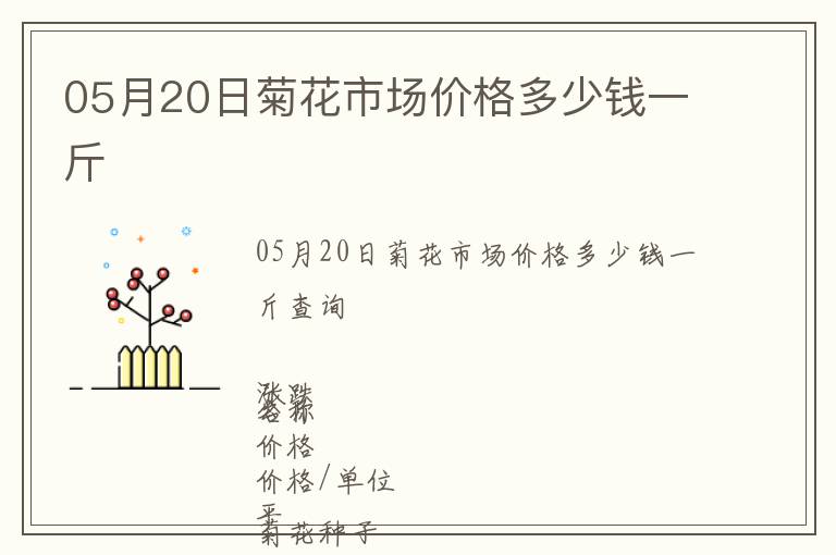 05月20日菊花市場價格多少錢一斤