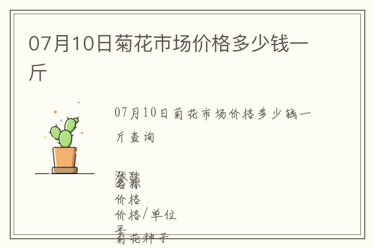 07月10日菊花市場價格多少錢一斤
