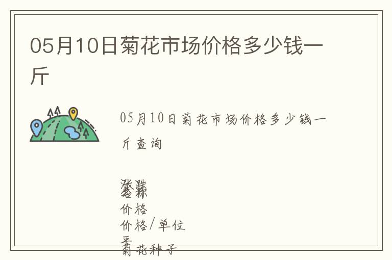 05月10日菊花市場價格多少錢一斤
