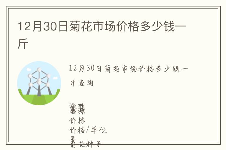 12月30日菊花市場(chǎng)價(jià)格多少錢一斤