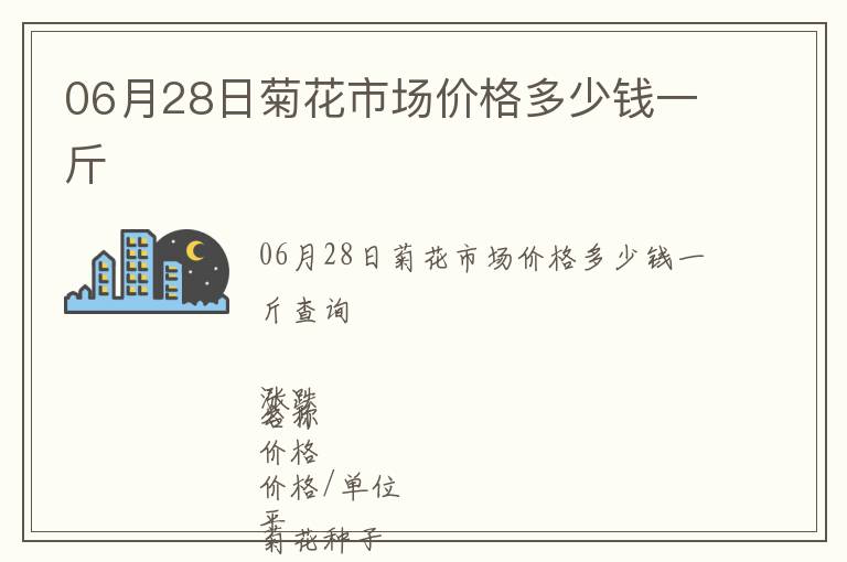 06月28日菊花市場價格多少錢一斤