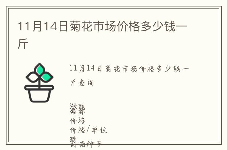 11月14日菊花市場價格多少錢一斤