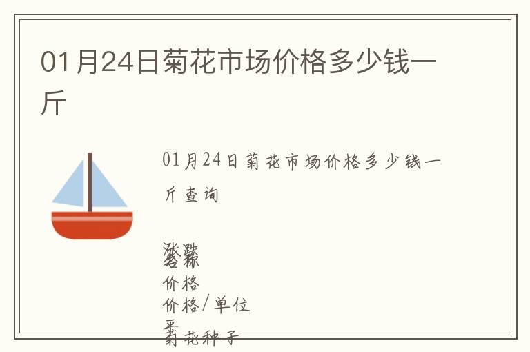01月24日菊花市場價格多少錢一斤