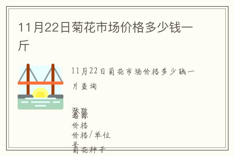 11月22日菊花市場價格多少錢一斤