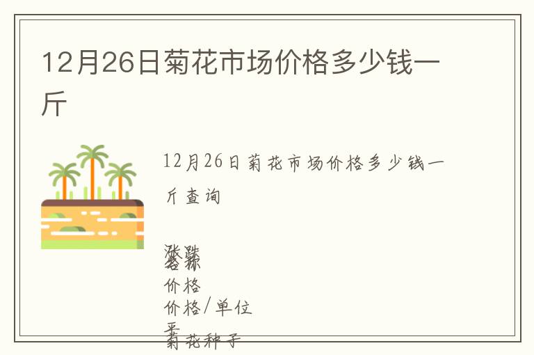 12月26日菊花市場價格多少錢一斤