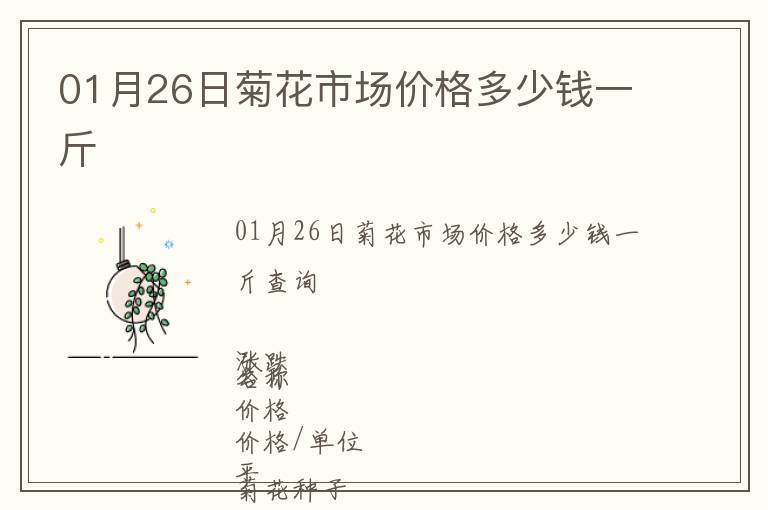01月26日菊花市場價格多少錢一斤