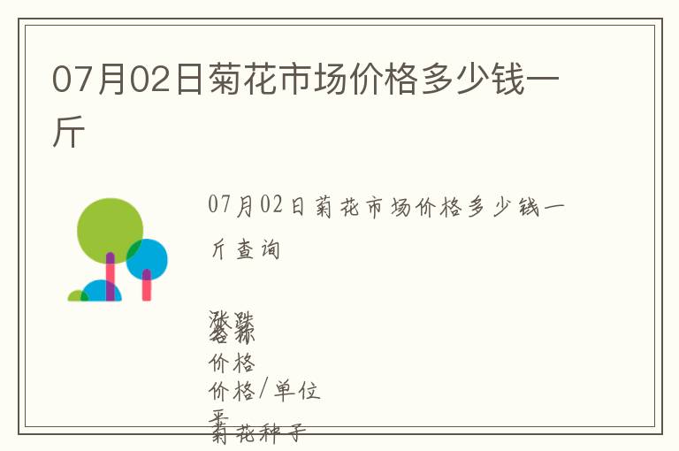 07月02日菊花市場價格多少錢一斤
