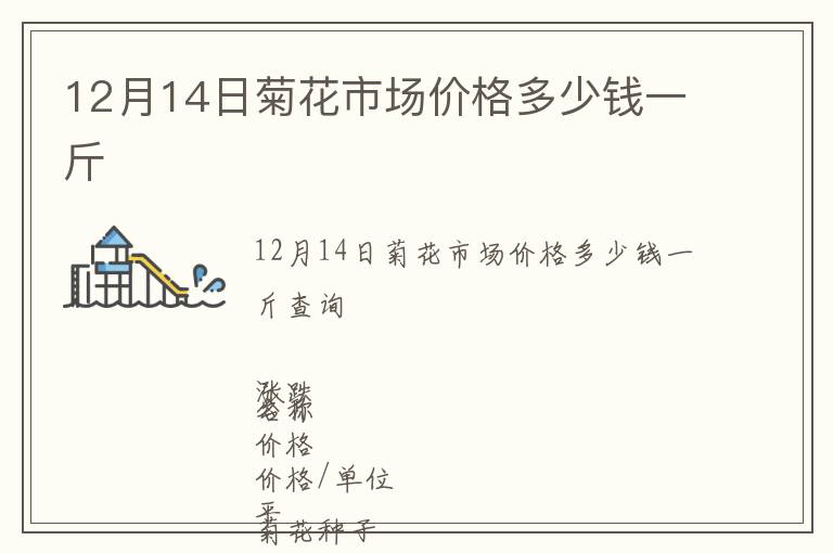 12月14日菊花市場價格多少錢一斤