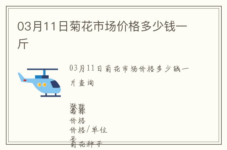 03月11日菊花市場價格多少錢一斤