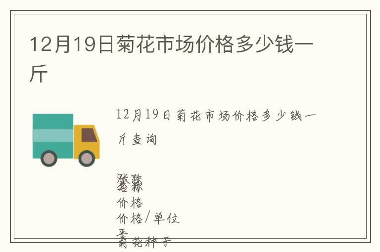 12月19日菊花市場價格多少錢一斤