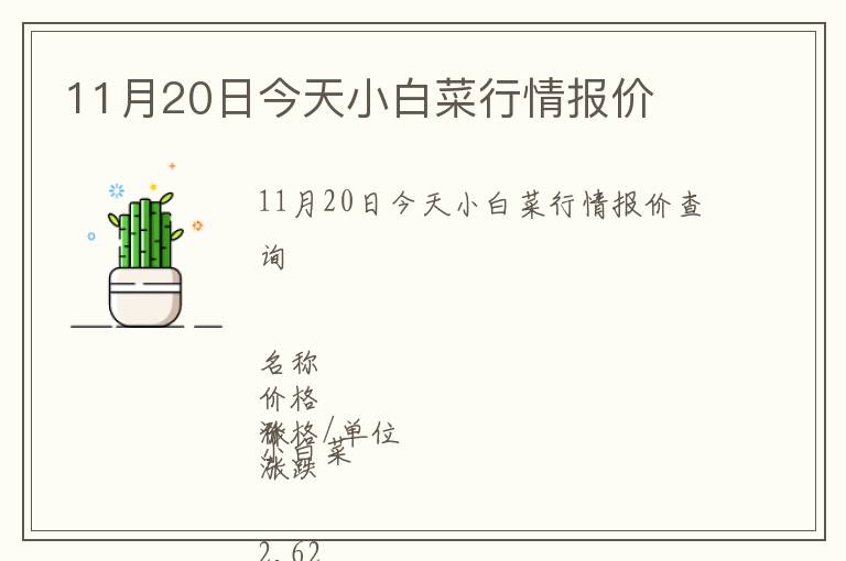 11月20日今天小白菜行情報價