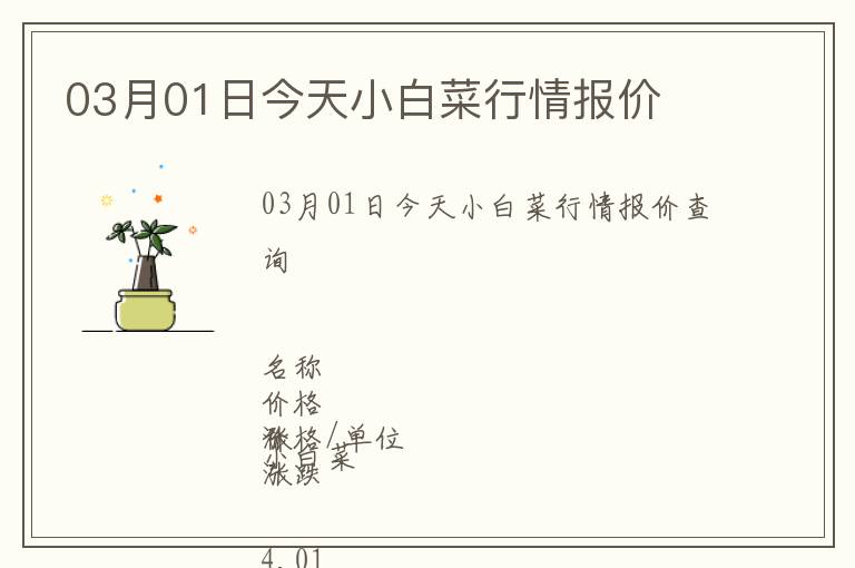 03月01日今天小白菜行情報價