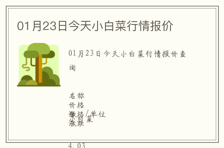 01月23日今天小白菜行情報價