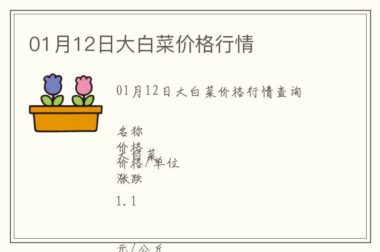 01月12日大白菜價格行情