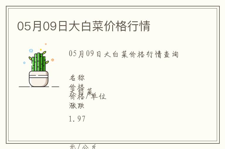 05月09日大白菜價格行情