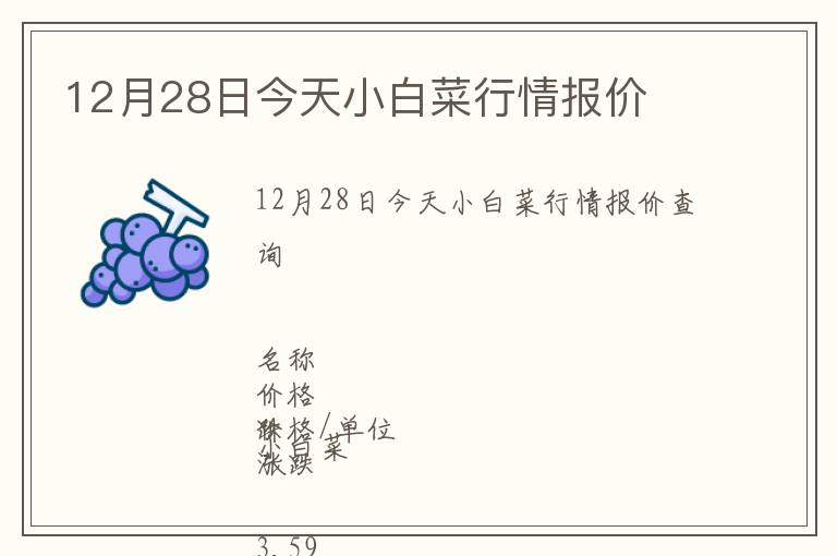 12月28日今天小白菜行情報價
