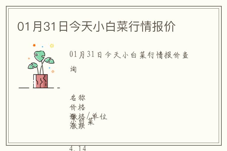 01月31日今天小白菜行情報價