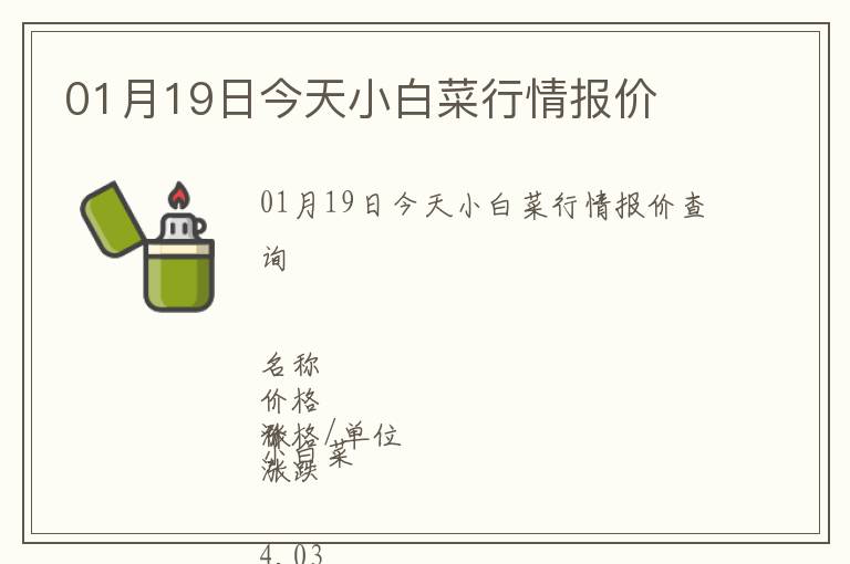 01月19日今天小白菜行情報價